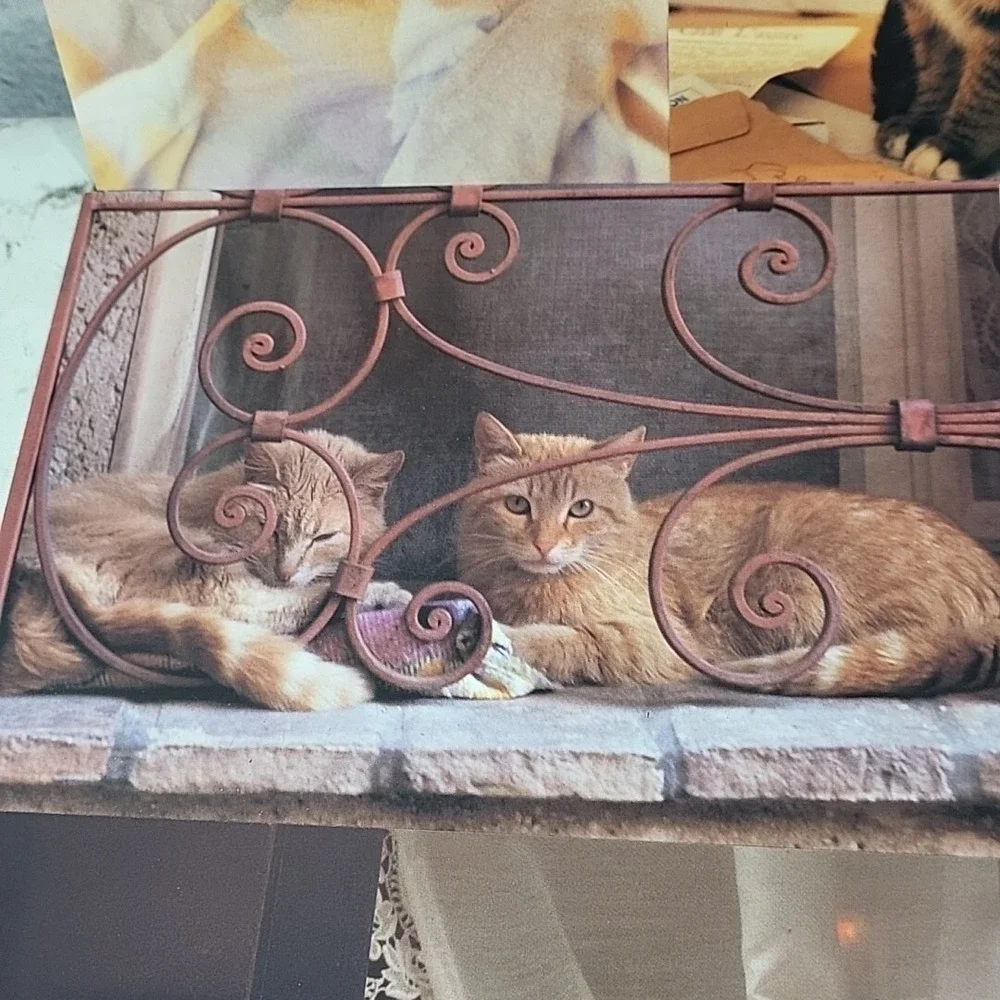 Vintage Oversized Kitty Cat‎ Postcards 7pc Lot #4